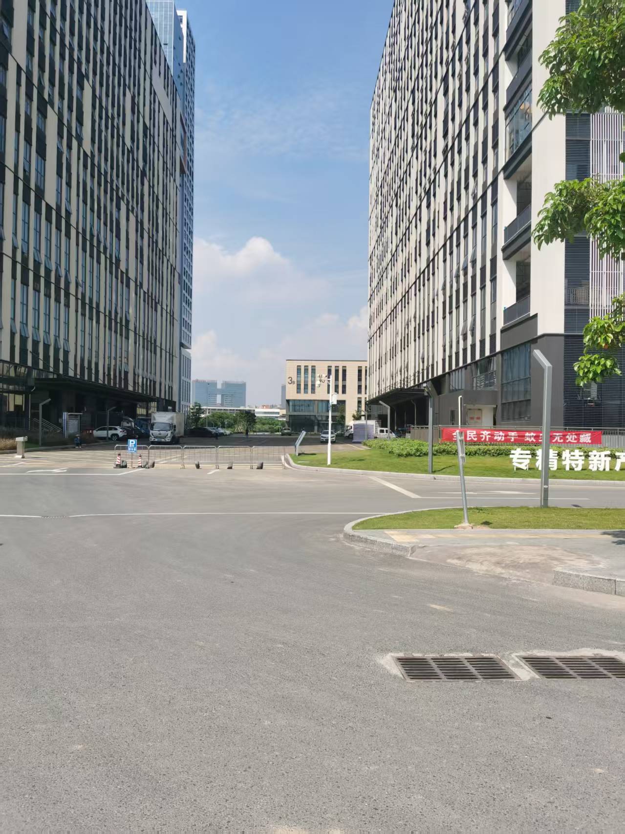 园区主干道